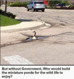 1743477540306.png